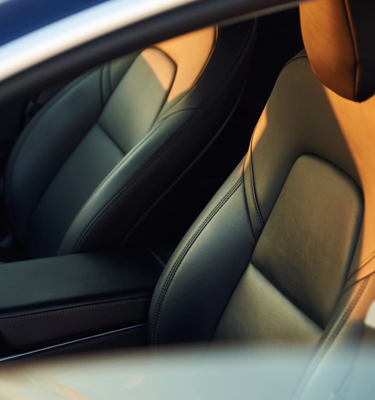 Close up view of the interior of the modern car. Beautiful sunlight.